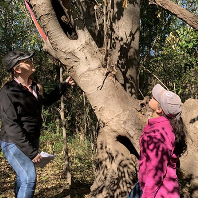 (L-R) UQ’s Ciara O’Brien and Brooke Johnstone sizing up a giant, invasive Chinese elm tree.